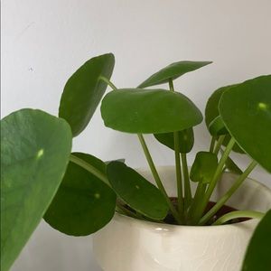 Meet your Posher, Day